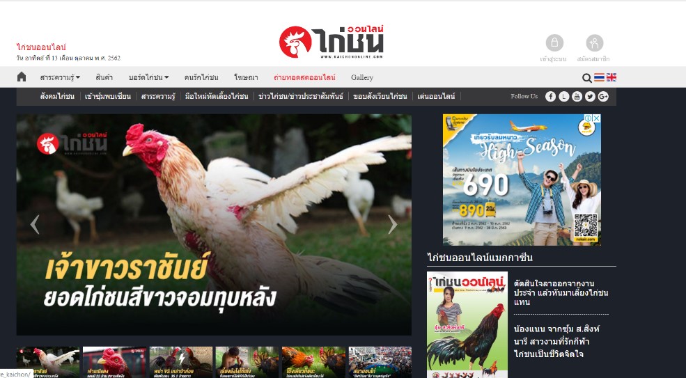 ดูไก่ชนออนไลน์ ถ่ายทอดสด  kaichononline