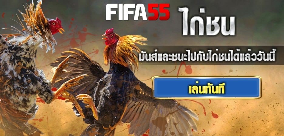 เว็บแทงไก่ชน FIFA55