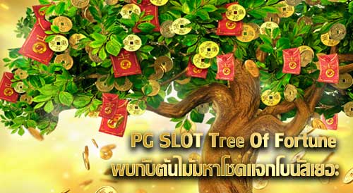 พบกับต้นไม้มหาโชคแจกโบนัสเยอะ ในกับเกม Tree Of Fortune Slot